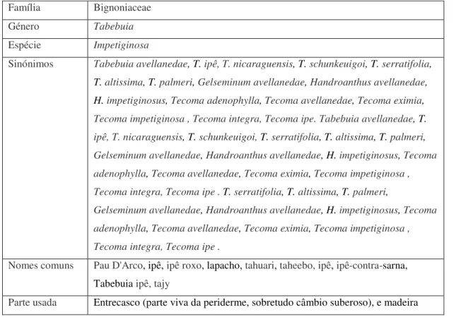 Tabela 1. Descrição taxonómica de Tabebuia impetigosa (Ruiz de la Torre, 2006).