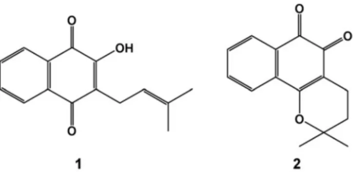 Figura  2.  Estrutura  química  do  lapachol  (1)  e  β-lapachona  (2).  Lapachol  (2-hidroxi-3-(3-metil-2-butenil)-1,4- (2-hidroxi-3-(3-metil-2-butenil)-1,4-naftoquinona, C 15 H 14 O 3 , Massa molar 242,2738 g/mol; conhecido desde 1858, foi o primeiro com