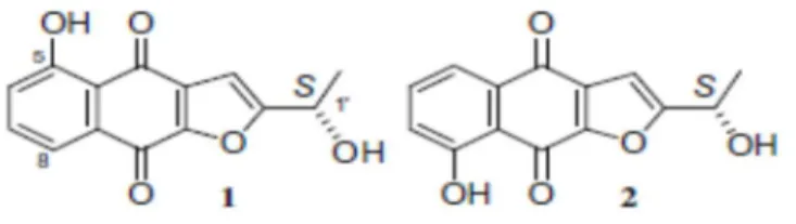 Figura 4. Estrutura química de (-)-5-hidroxi-2-(1-hidroxietil)nafto[2,3-b]furano-4,9-diona (1) e, (-)–8-hidroxi-2- (-)–8-hidroxi-2-(1-hidroxietil)nafto[2,3-b]furano-4,9-diona (2)