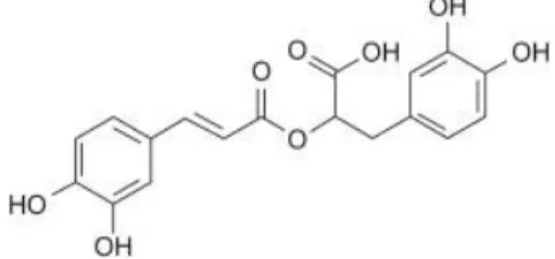 Figure 2. Chemical structure of rosmarinic acid. 
