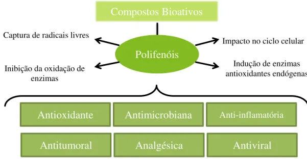 Figura 11 - Bioatividades de diferentes compostos (Kasala et al., 2016, Miyamae et al., 2011) 