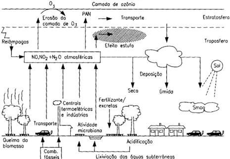 Figura 4. Ciclo do nitrogênio. (LORA, 2002)  3.3. Ciclo do enxofre 