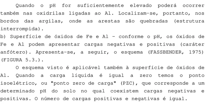 FIGURA  5.2.  Origem  das  cargas  elétricas  negativas  dependentes  do  pH em argilomineral 1:1