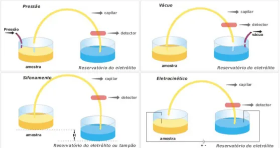 Figura 3 - Esquemas para a introdução de amostras