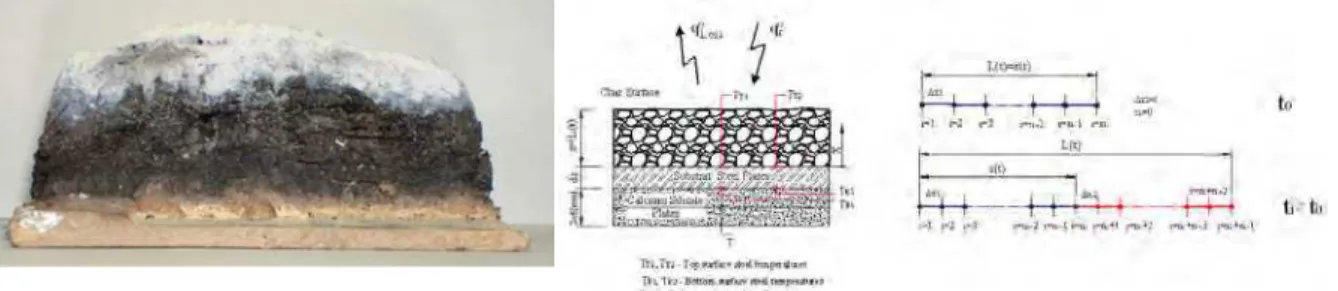 Fig. 9. Intumescent layer cross section cut. 
