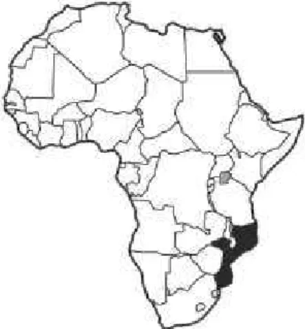 FIGURA 1 - Localização  de  Moçambique  destacada  em preto.