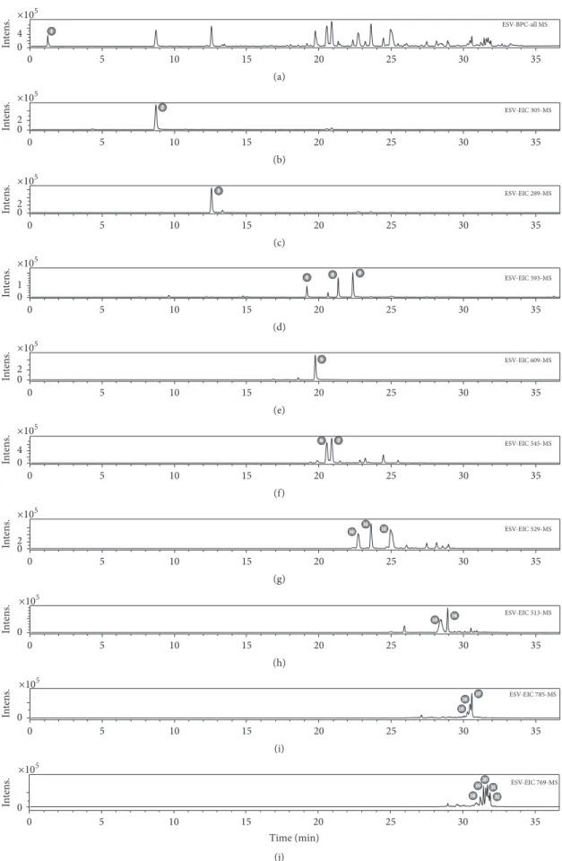Figure 1: UFLC-DAD-ESI-QTOF-micrOTOF QII chemical profiling (negative mode) of an ethanol extract of S