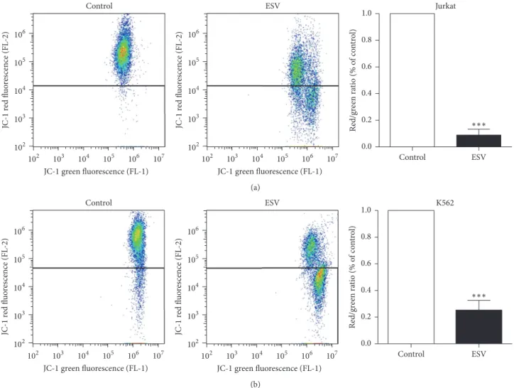 Figure 5: Mitochondrial membrane potential of leukemic Jurkat (a) and K562 (b) cells treated with different ESV concentrations