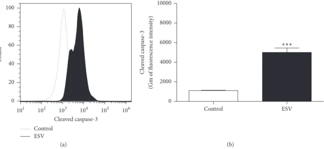 Figure 6: Histogram (a) and representative graph (b) of caspase-3 activation in ESV-treated Jurkat cells