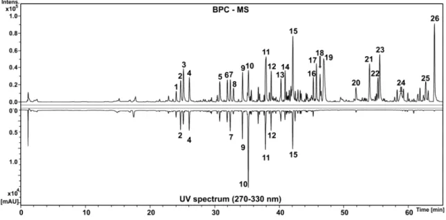 Figure 1. Base peak chromatogram in negative ion mode and UV spectrum in the range of 270–300 nm of the Melipona orbignyi geopropolis extract