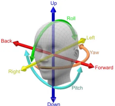 Fig. 1 – Head rotation angles (C. Wang, Li, &amp; Song, 2013).