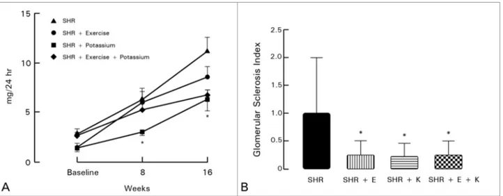 Figure 2 A-B. 24-hour urine albumin in milligrams (graph A) and glomerular sclerosis index (graph B) for groups SHR, SHR + Exercise (SHR + EXE),  SHR + Potassium (SHR + K), and SHR + Exercise + Potassium (SHR + EXE + K)