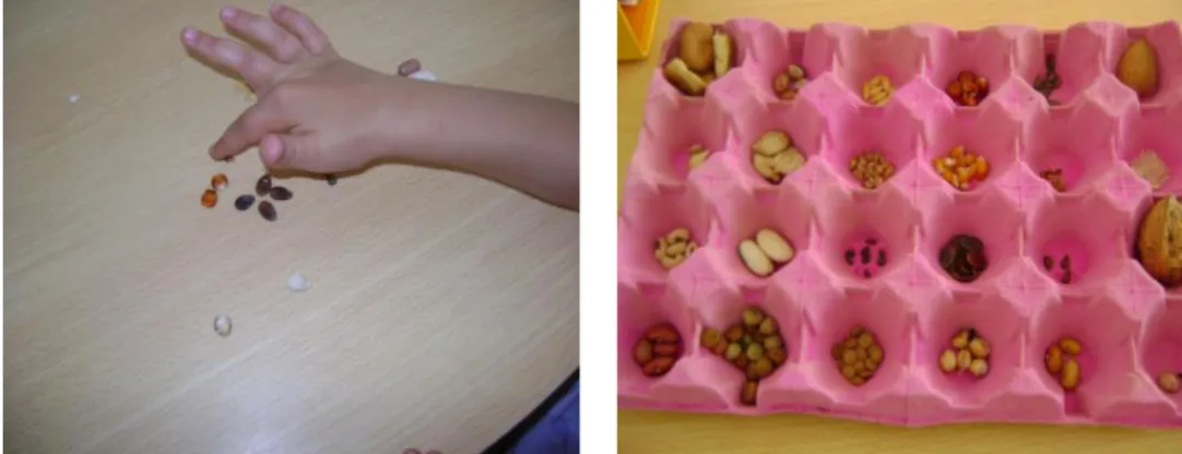 Fig. 1 Sorting seeds according to their features 