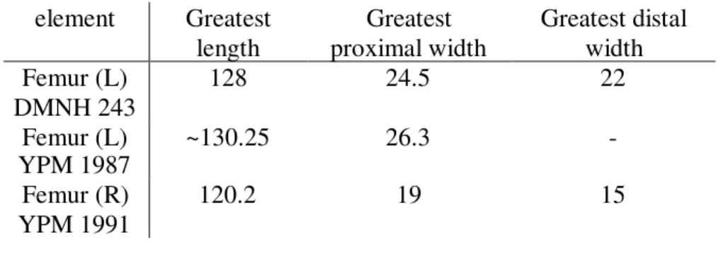 Table 1 . Measurements (in cm) of Stegosaurus femora