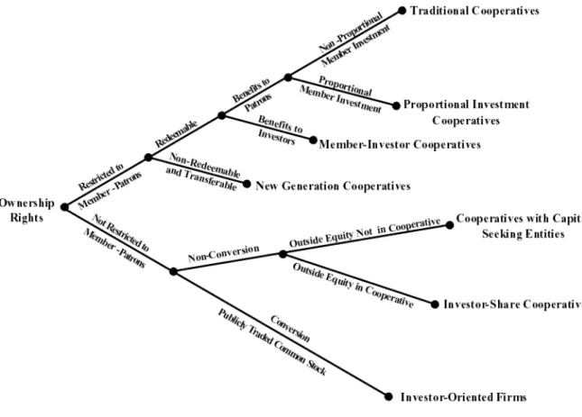 Figura 1. Modelo Cooperativo Alternativo: uma perspetiva de direito de propriedade.  