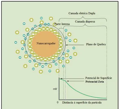 Figura 16: Representação esquemática do Potencial Zeta (adaptado de Malvern  Instruments, 2013d)
