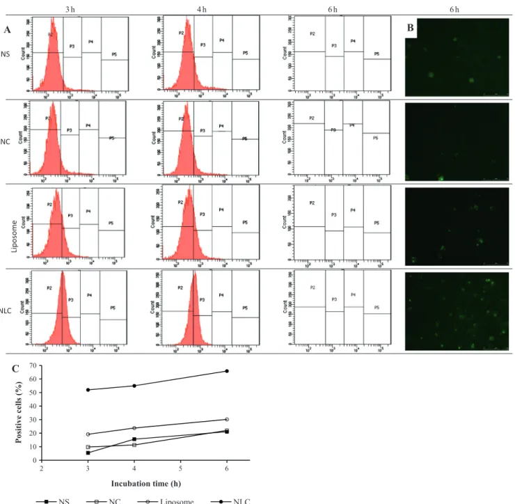 Fig. 2. Nanoparticle-lymphocyte interactions after 3, 4 and 6 h of incubation. (A) Hystograms of flow cytometer analysis of nanospheres (NS), nanocapsules (NC), liposomes and nanostructured lipid carriers (NLC)