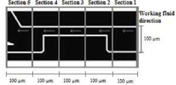 Figure 1: Scheme of the microchannel stenosis device. 