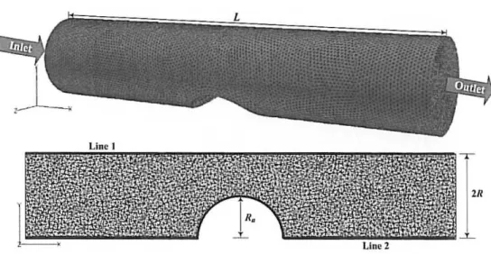 Figure  I:  Representation ofthe computational domain and used mesh. 