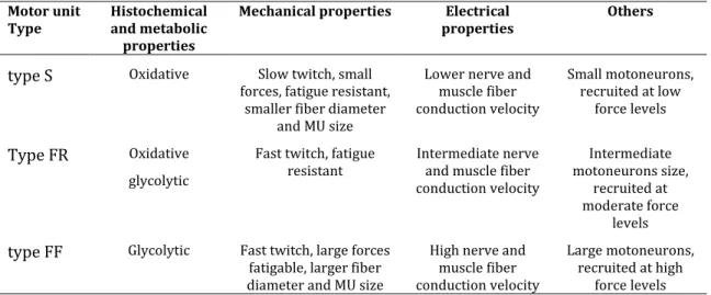 Table 1-1 –  Summary of the motor unit types characteristics [from Moritani et al. (2004)]