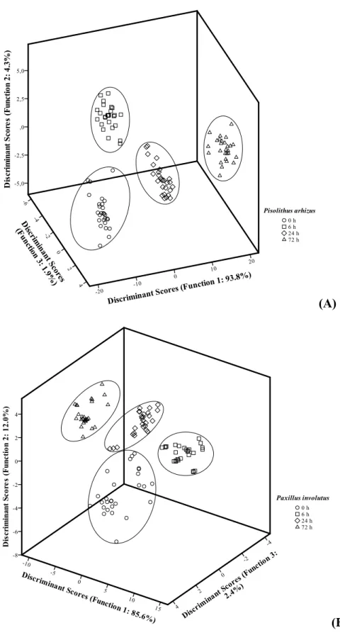 Figure 4. Canonical analysis of co-culture (A: Pisolithus arhizus; B: Paxillus involutus)  periods based on all the assayed parameters