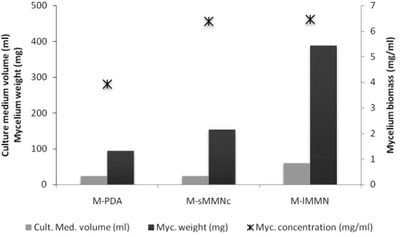 Figure 2.  Biomass production of mycelia in solid and liquid MMN, and in solid PDA  culture media