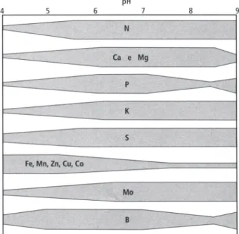 Figura 3.1 – A maior largura das barras horizontais indicia maior disponibilidade de nutrientes  em  função  do  pH  do  solo