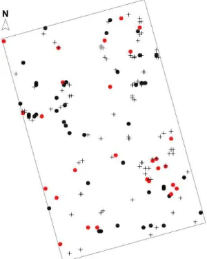 Figura 02 - Distribuição espacial dos indivíduos avaliados na parcela de 1  ha.  Onde:  Círculos  vermelhos:  indivíduos  femininos