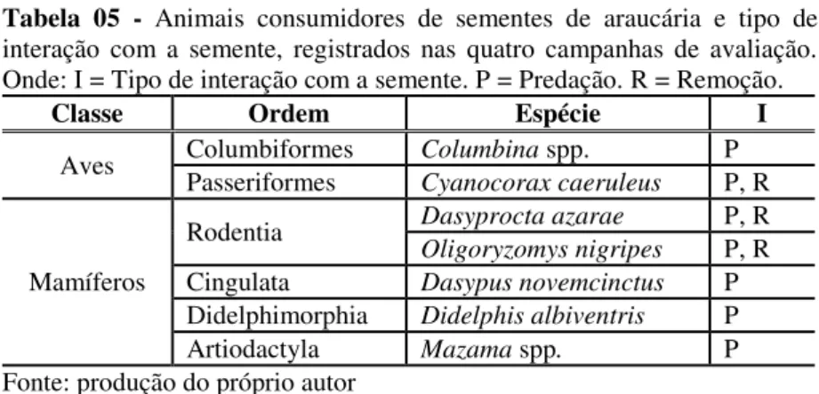 Figura  09  -  (A)  Indivíduo  da  espécie  Dasyprocta  azarae  (cutia)  consumindo  sementes  de  A