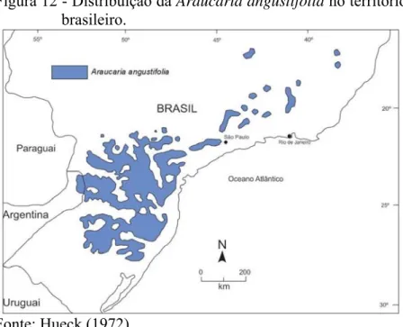 Figura 12 - Distribuição da Araucaria angustifolia no território  brasileiro. 