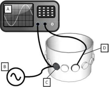 Figura  22  –  Representação  esquemática  do  experimento  de  medição  de  sensibilidade  do  campo  secundário  em  TIM