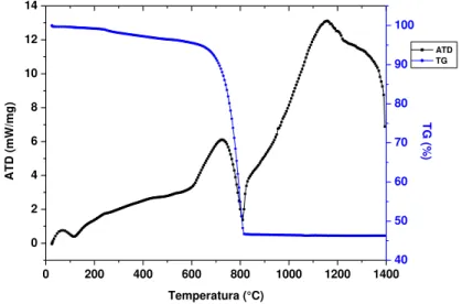 Figura 16 - Ilustrando as curvas ATD e TG representativas do ciclo  térmico obtido a partir do pó de carbonato de cálcio
