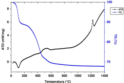 Figura 21 - Ilustra as curvas representativas do ciclo térmico obtidas  pela TG e ATD sobre o pó xerogel