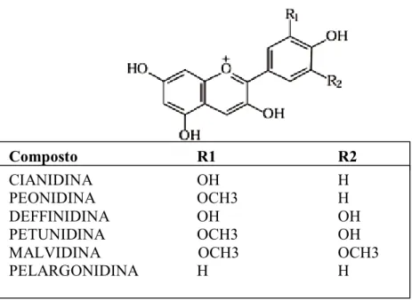 Figura 2 - Estruturas das antocianidinas comumente encontradas em tecidos vegetais 