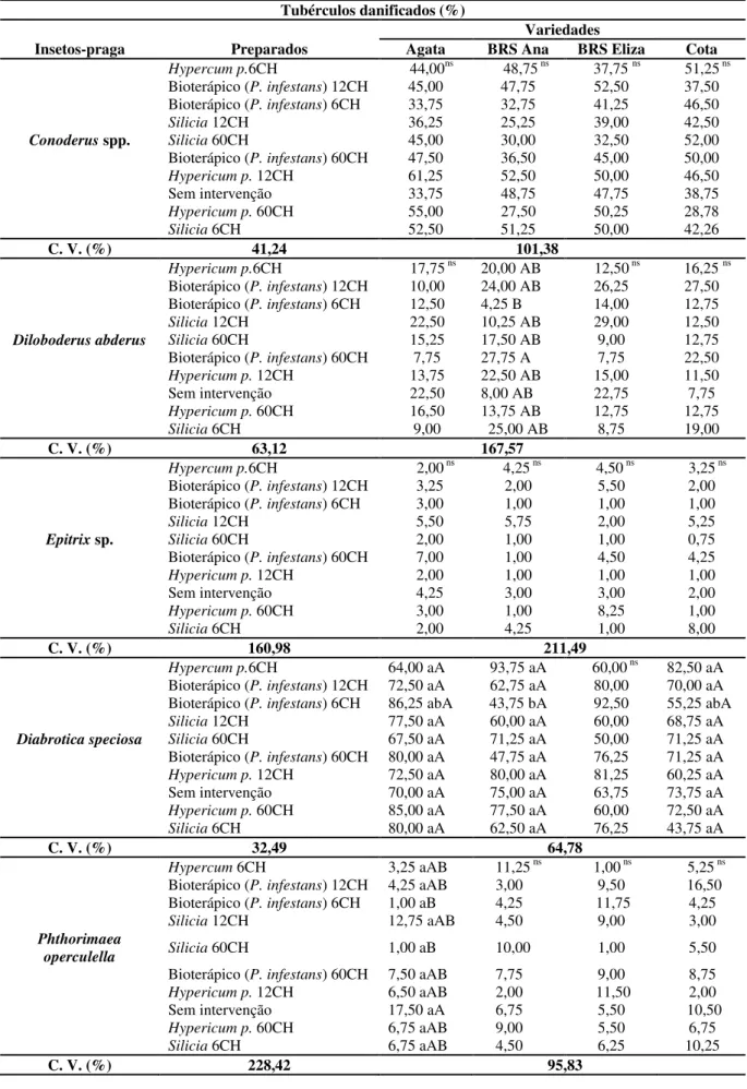 Tabela 4. Percentual de tubérculos de batateira tratadas com preparados homeopático com danos causados por  insetos