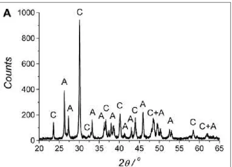 Fig. 2.2.1. Difratograma de raios X obtido sobre as conchas calcárias (Dianthus  hydroides serpulid) com picos referentes (C) calcita e (A) aragonita [TANUR, 2010].