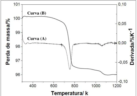 Figura 2.6.2.  Curvas do comportamento térmico obtidas sobre pó de fosfato de cálcio  com razão Ca/P 1,0molar (monetita) [FERNANDES, 2007]