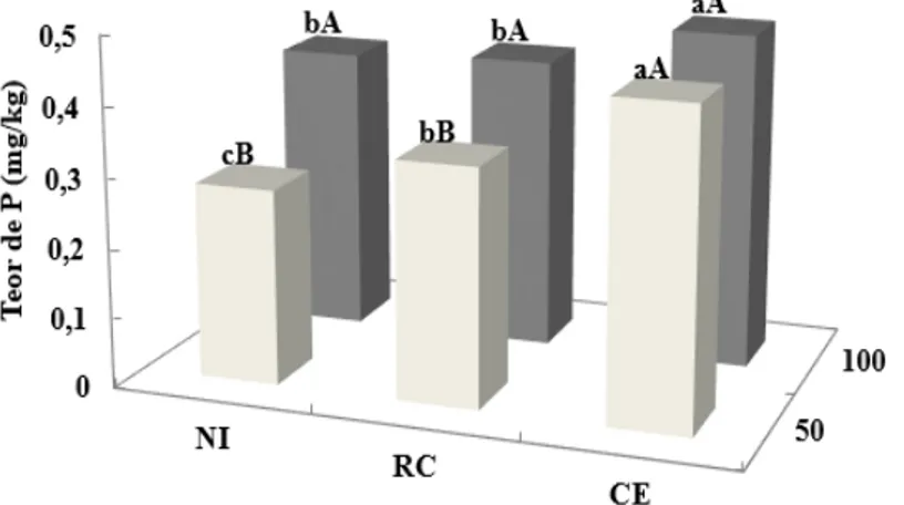 Figura 1 - Teor de P da parte aérea das mudas de cebola (Allium  cepa  L.) cultivar Bola Precoce cultivadas por 60 dias em casa de  vegetação com  inoculantes a base de  Rhizophagus  clarus e  Claroideoglomus  etunicatus  em dois níveis de P