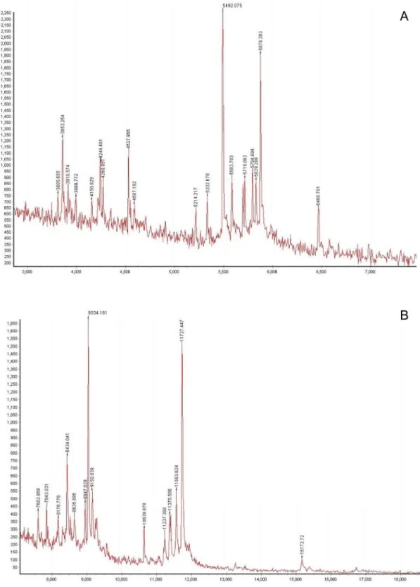 Figure 1. MALDI-TOF spectra of the water-soluble fraction of the raw grains: (A) 3.5-7.0 kDa and (B) 7.5-18 kDa.