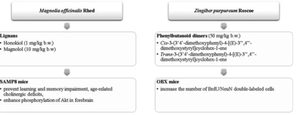 Fig. 5 Bioactive molecules (from commercial origin) with in vivo neuroregenerative effects.