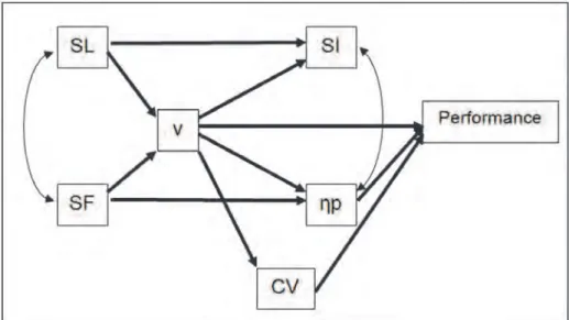Fig. 7. The final confirmatory model about the relationship between biomechanics,  energetics and swimming performance