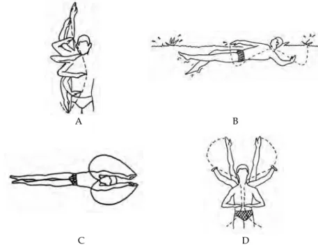 Fig. 2. The hand’s underwater path at Front Crawl (panel A), Backstroke (panel B),  Breaststroke (panel C) and Butterfly stroke (panel D)