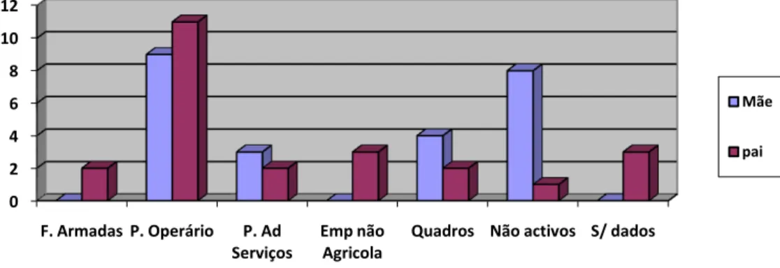 Fig. 3 - Actividade sócio económica dos pais 