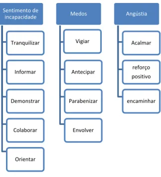 Figura 2: Intervenções necessárias e desejáveis numa consulta de vigilância. 