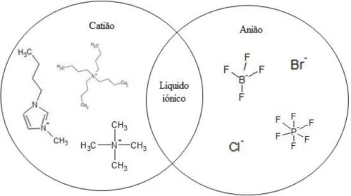 Figura 1.2: Catiões e aniões comuns em líquidos iónicos, adaptado de Joshi e Anderson (2012)