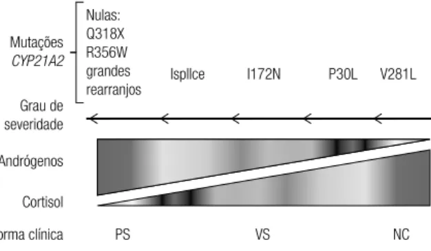 Figura 1. Correlação genótipo/fenótipo na D21OH. Acima são indicadas  as mutações mais frequentes no Brasil (ref