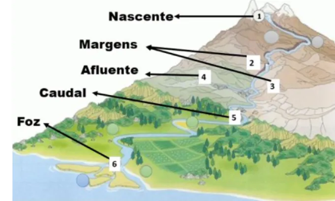 Figura 4 – Conceitos sobre o tema “Os rios”