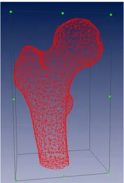 Fig. 1 Sample mesh geometry of the proximal femur generated from CT scan 