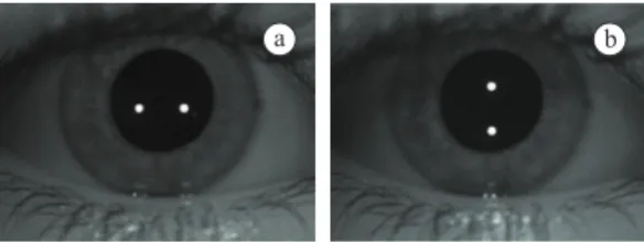 Figure 3. a) Scene’s lighting and respective corneal relection. 