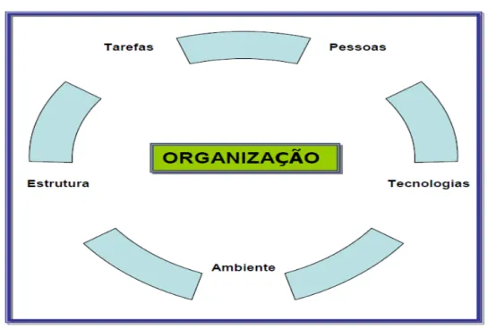 Figura 1 - As cinco variáveis básicas de uma organização 